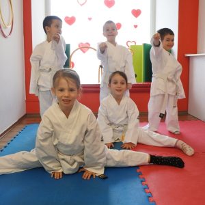 TEKVONDO-2 TEKVONDO-2