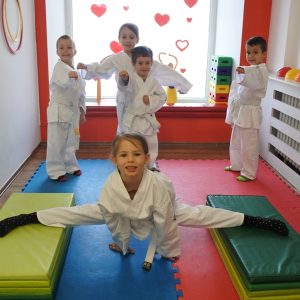 TEKVONDO-3 TEKVONDO-3