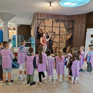 MUZEJ AFRIČKE UMETNOSTI HK7 (15)