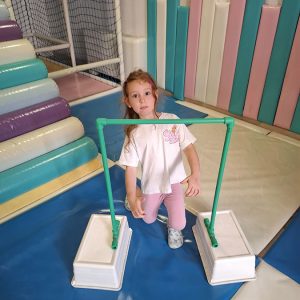 ROĐENDANSKE IGRE BEZ GRANICA HK1 (101)