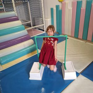 ROĐENDANSKE IGRE BEZ GRANICA HK1 (102)