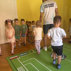 TEKVONDO HK3 (101)