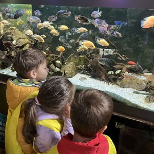 JAVNI AKVARIJUM I TROPIKARIJUM HK1 (25)