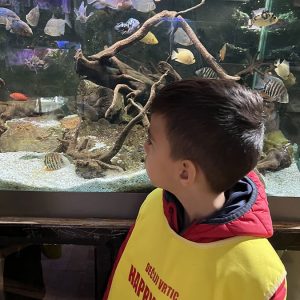 JAVNI AKVARIJUM I TROPIKARIJUM HK1 (26)