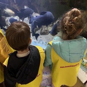 JAVNI AKVARIJUM I TROPIKARIJUM HK1 (27)