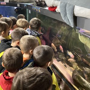 JAVNI AKVARIJUM I TROPIKARIJUM HK1 (28)