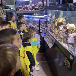 JAVNI AKVARIJUM I TROPIKARIJUM HK1 (29)