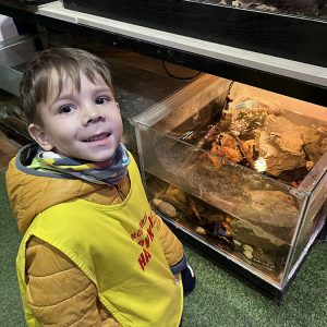 JAVNI AKVARIJUM I TROPIKARIJUM HK1 (31)