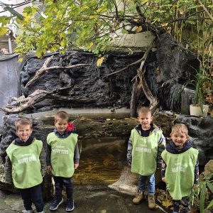 JAVNI AKVARIJUM I TROPIKARIJUM HK3 (12)