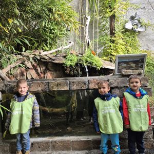 JAVNI AKVARIJUM I TROPIKARIJUM HK3 (17)