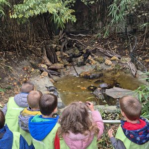 JAVNI AKVARIJUM I TROPIKARIJUM HK3 (20)