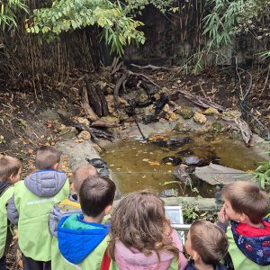 JAVNI AKVARIJUM I TROPIKARIJUM HK3 (21)