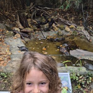 JAVNI AKVARIJUM I TROPIKARIJUM HK3 (24)