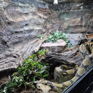 JAVNI AKVARIJUM I TROPIKARIJUM HK3 (30)