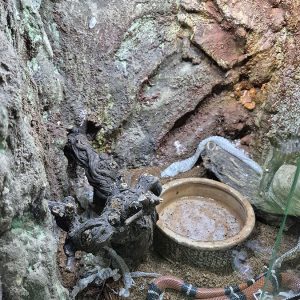 JAVNI AKVARIJUM I TROPIKARIJUM HK3 (32)