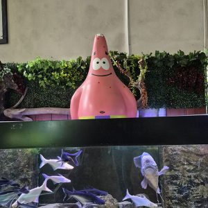 JAVNI AKVARIJUM I TROPIKARIJUM HK3 (42)