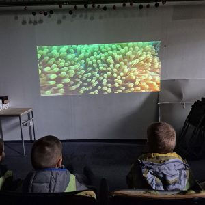 JAVNI AKVARIJUM I TROPIKARIJUM HK3 (47)