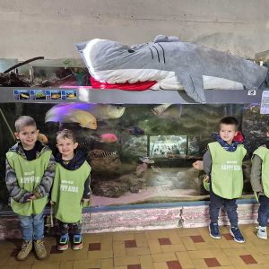 JAVNI AKVARIJUM I TROPIKARIJUM HK3 (48)