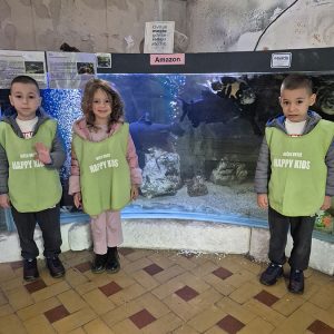 JAVNI AKVARIJUM I TROPIKARIJUM HK3 (52)