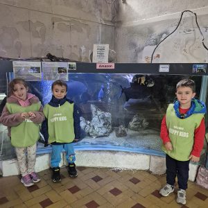 JAVNI AKVARIJUM I TROPIKARIJUM HK3 (53)