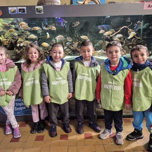 JAVNI AKVARIJUM I TROPIKARIJUM HK3 (55)