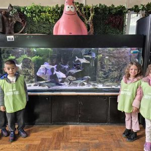 JAVNI AKVARIJUM I TROPIKARIJUM HK3 (58)