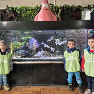 JAVNI AKVARIJUM I TROPIKARIJUM HK3 (59)