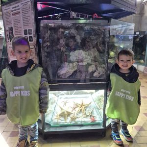 JAVNI AKVARIJUM I TROPIKARIJUM HK3 (66)