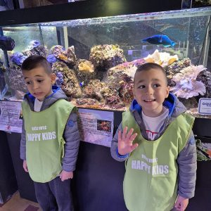 JAVNI AKVARIJUM I TROPIKARIJUM HK3 (72)