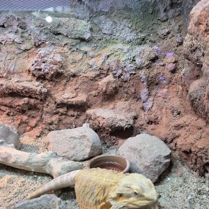 JAVNI AKVARIJUM I TROPIKARIJUM HK3 (73)