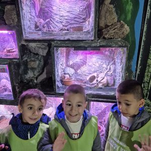 JAVNI AKVARIJUM I TROPIKARIJUM HK3 (76)