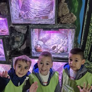 JAVNI AKVARIJUM I TROPIKARIJUM HK3 (77)