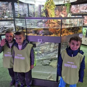 JAVNI AKVARIJUM I TROPIKARIJUM HK3 (78)