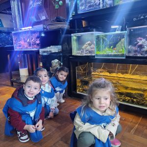 JAVNI AKVARIJUM I TROPIKARIJUM HK4 (42)