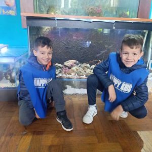 JAVNI AKVARIJUM I TROPIKARIJUM HK4 (44)