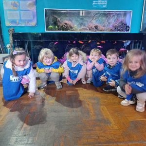 JAVNI AKVARIJUM I TROPIKARIJUM HK4 (47)