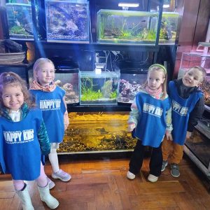 JAVNI AKVARIJUM I TROPIKARIJUM HK4 (50)