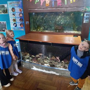 JAVNI AKVARIJUM I TROPIKARIJUM HK4 (53)