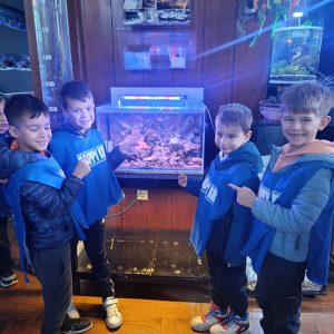 JAVNI AKVARIJUM I TROPIKARIJUM HK4 (55)