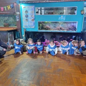 JAVNI AKVARIJUM I TROPIKARIJUM HK4 (60)