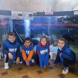 JAVNI AKVARIJUM I TROPIKARIJUM HK4 (62)