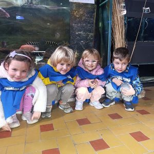 JAVNI AKVARIJUM I TROPIKARIJUM HK4 (63)