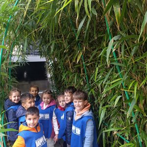 JAVNI AKVARIJUM I TROPIKARIJUM HK4 (79)