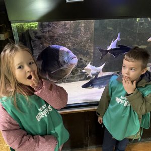 JAVNI AKVARIJUM I TROPIKARIJUM HK5 (26)