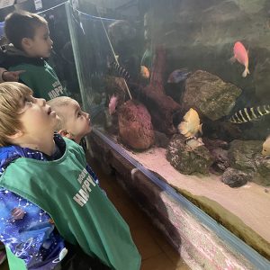 JAVNI AKVARIJUM I TROPIKARIJUM HK5 (8)