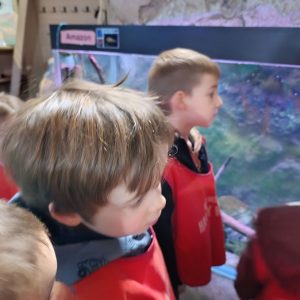 JAVNI AKVARIJUM I TROPIKARIJUM HK6 (15)