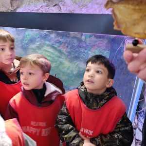 JAVNI AKVARIJUM I TROPIKARIJUM HK6 (16)