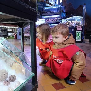 JAVNI AKVARIJUM I TROPIKARIJUM HK6 (18)