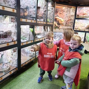 JAVNI AKVARIJUM I TROPIKARIJUM HK6 (21)