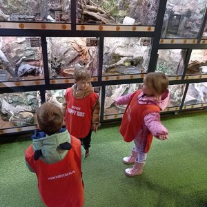 JAVNI AKVARIJUM I TROPIKARIJUM HK6 (22)